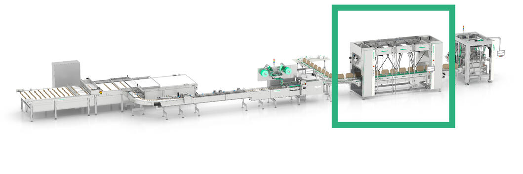 Syntegon RPP Robotic Cell in System